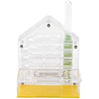 Ant Nest- acrílico Ant Nest Villa Farm House Formicarium Kit Educativo y de Aprendizaje de Ciencias Naturales para la…